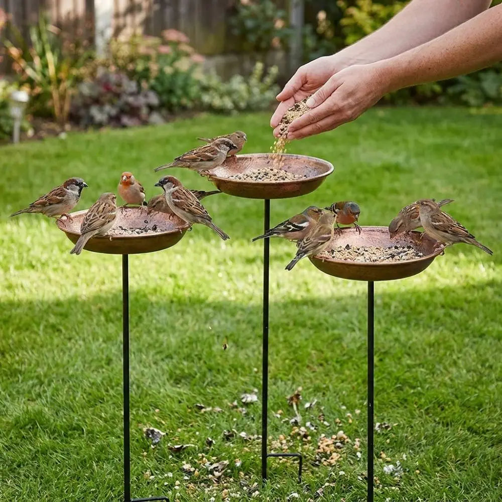 Rustic Iron Bird Feeder with Wide-Mouth Water Basin