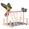 Wooden Bird Activity Center with Perch, Ladder & Swing