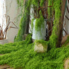 Natural Green Preserved Moss for DIY Crafts and Decor