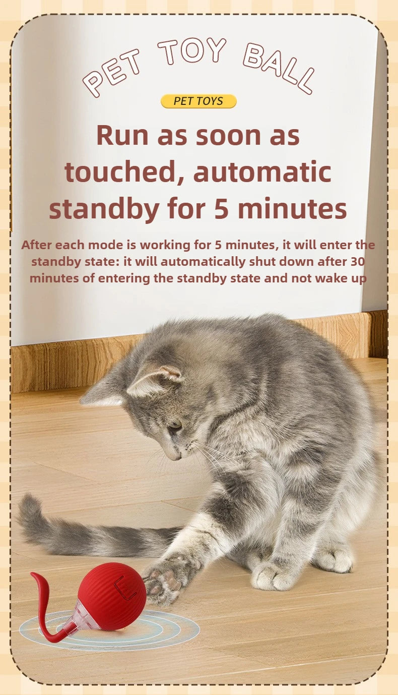 Interactive Automatic Rolling Cat Toy with Tail