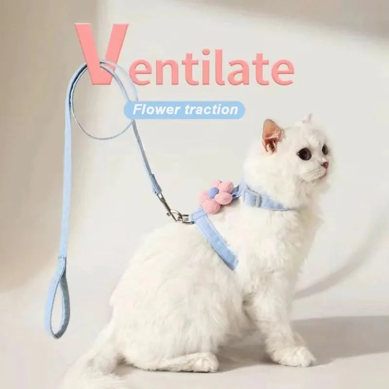 Weiße Katze mit blauem Netzgeschirr und Leine, die eine Blume zieht.