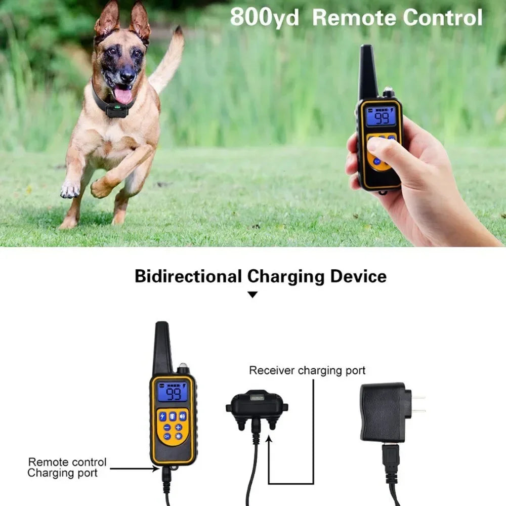Rechargeable Dog Training Collar with Remote Control