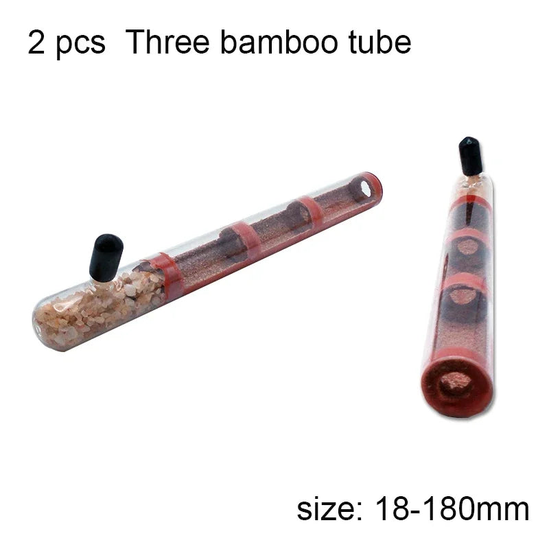 Kit de démarrage de fourmilière DIY avec nid en tube à essai