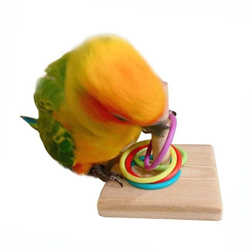 A yellow and green bird toy is perched on a wooden block, interacting with a plastic ring.
