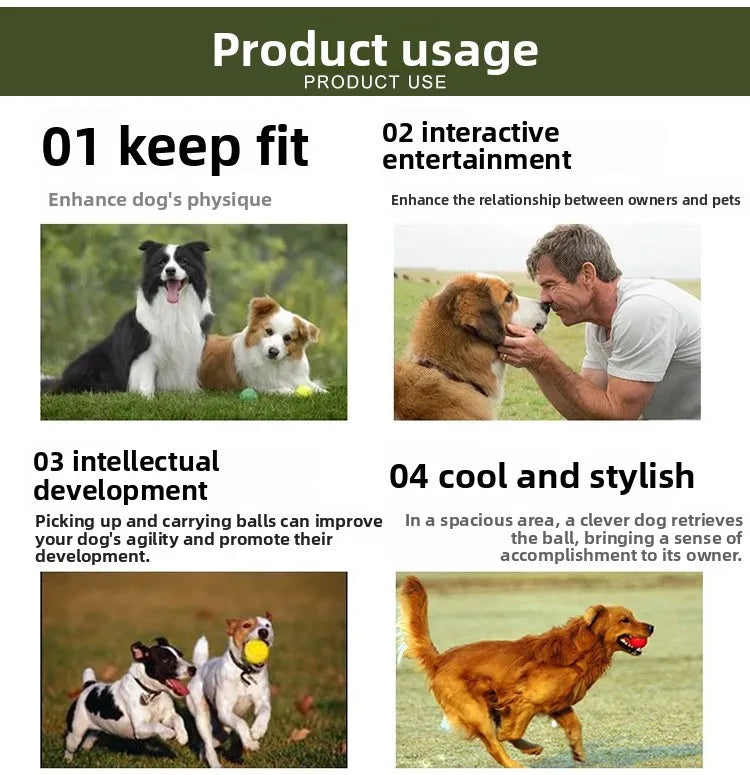 Four panels showing dog usage: keeping fit, entertainment, intellectual development, and cool and stylish play.
