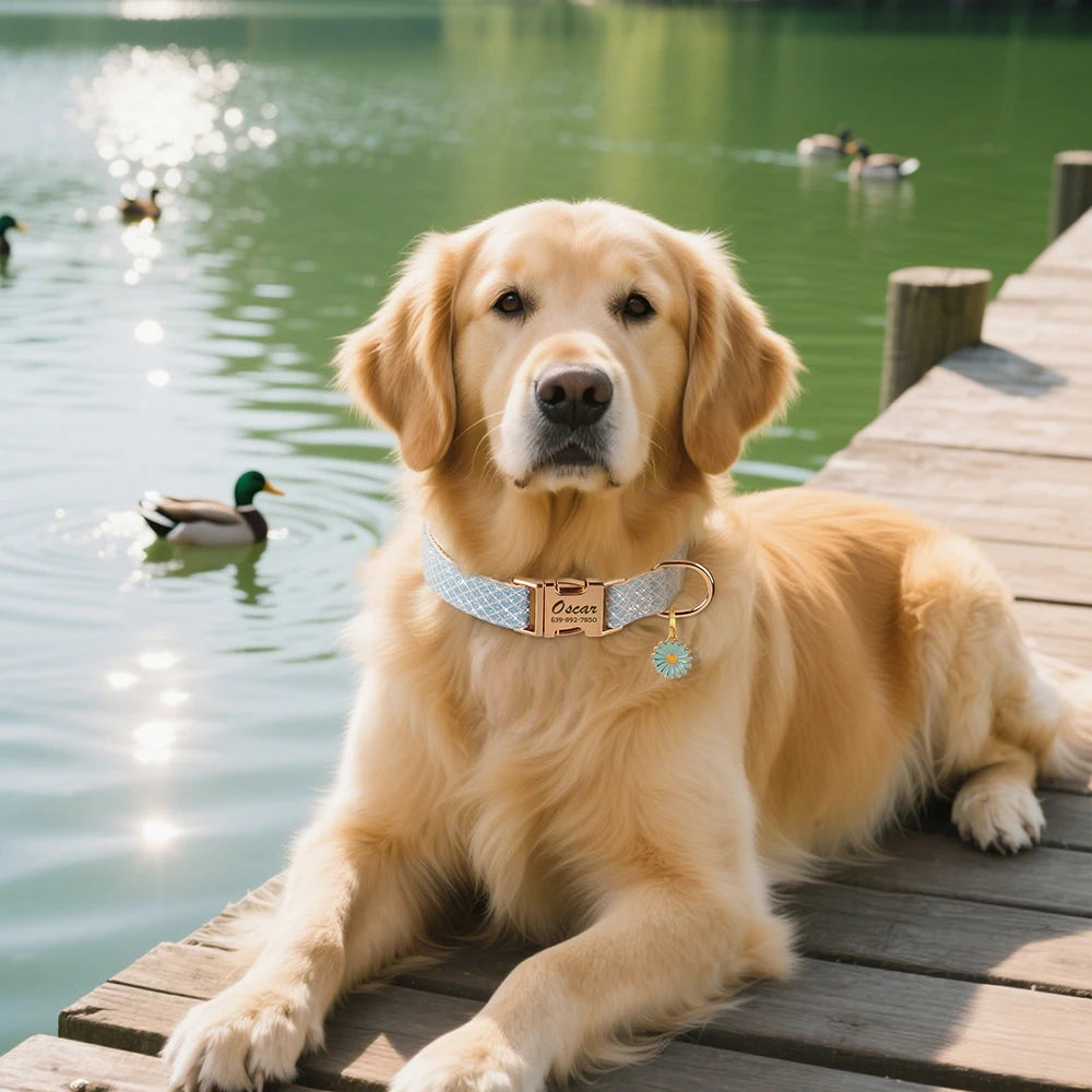 A golden retriever dog lying on a wooden dock with a personalized bling nylon collar and engraved name tag.