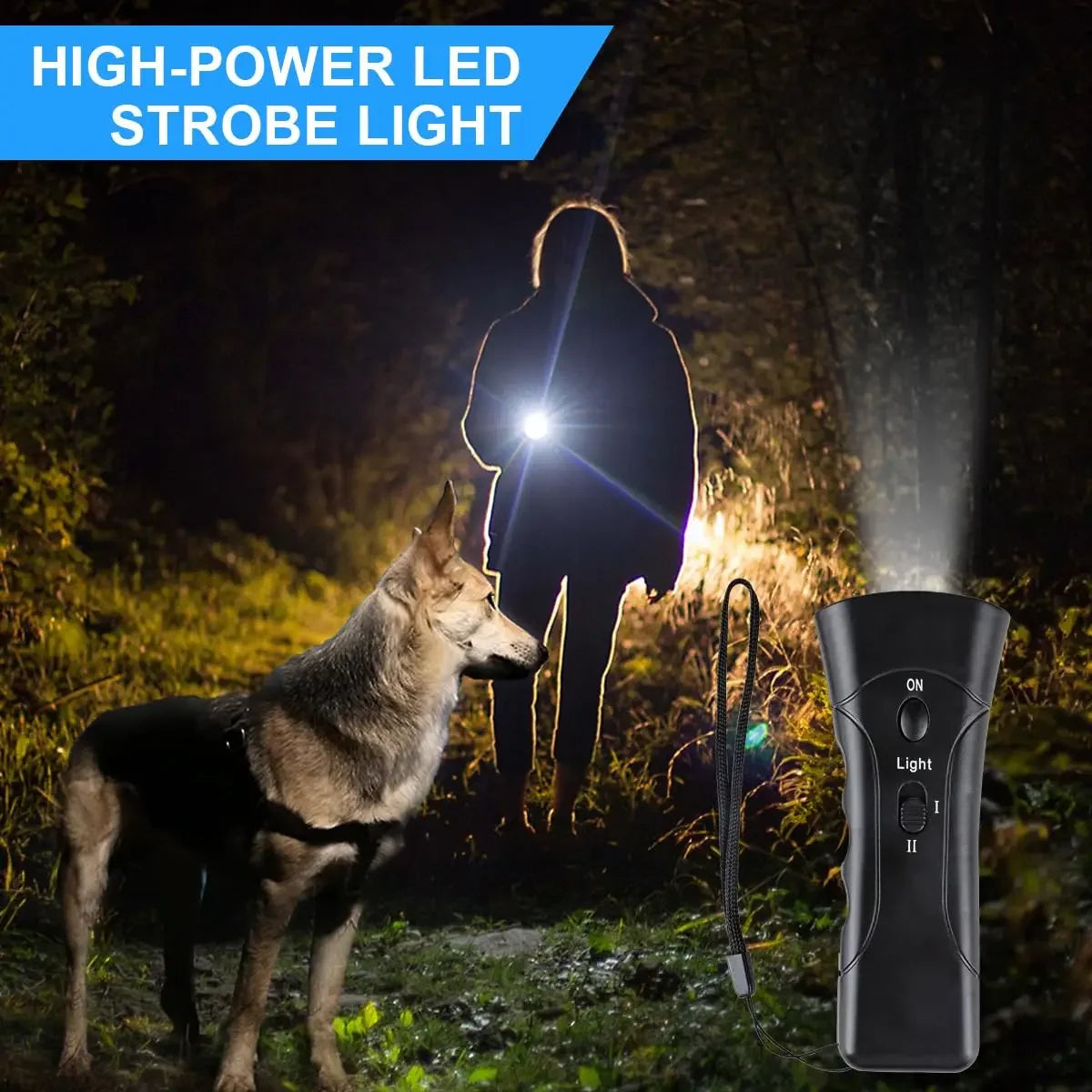 A high-power LED strobe light illuminates a dog in a dark outdoor setting.