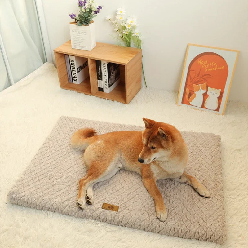 Orthopedic Memory Foam Dog Bed with Removable Washable Faux Fur Cover
