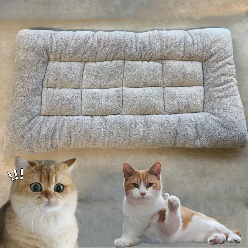 Grande Coussin pour Chien en Peluche avec Confort Polyester Épaissi