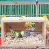 Natural Wood Bird Nesting Box with Viewing Window