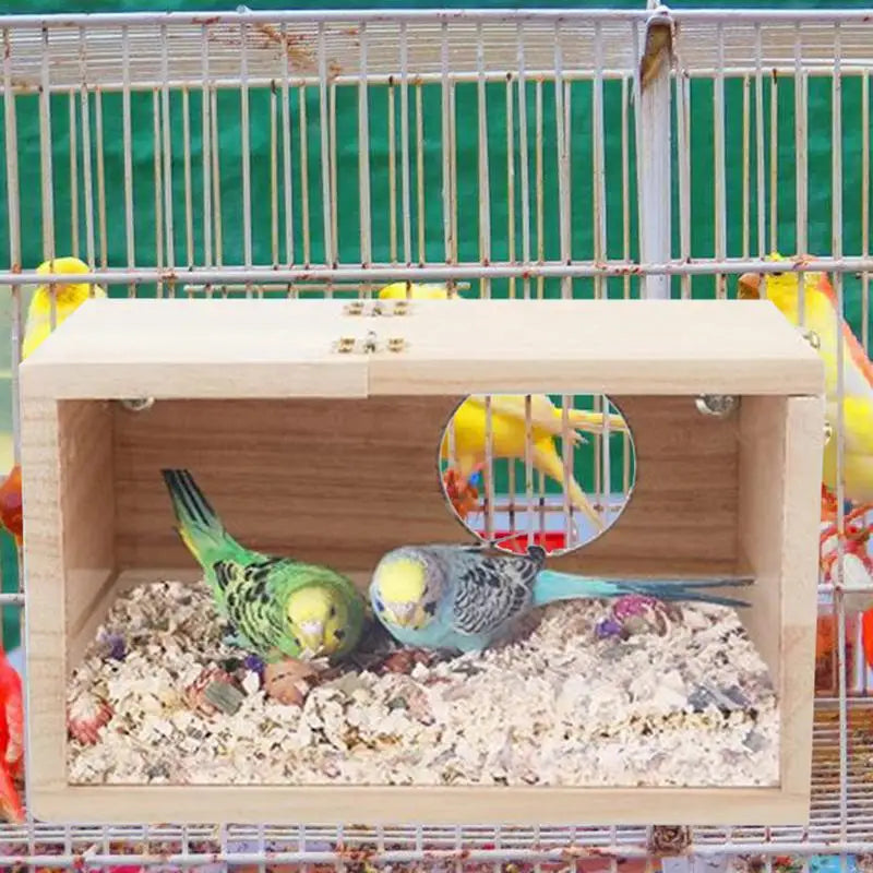 Natural Wood Bird Nesting Box with Viewing Window