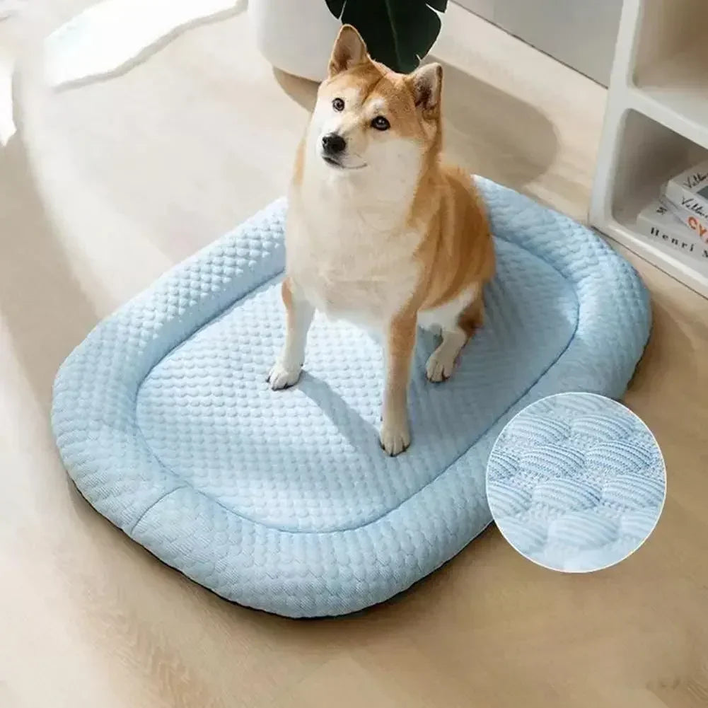 A fluffy light brown dog sits on a blue quilted ice silk cooling pet bed.