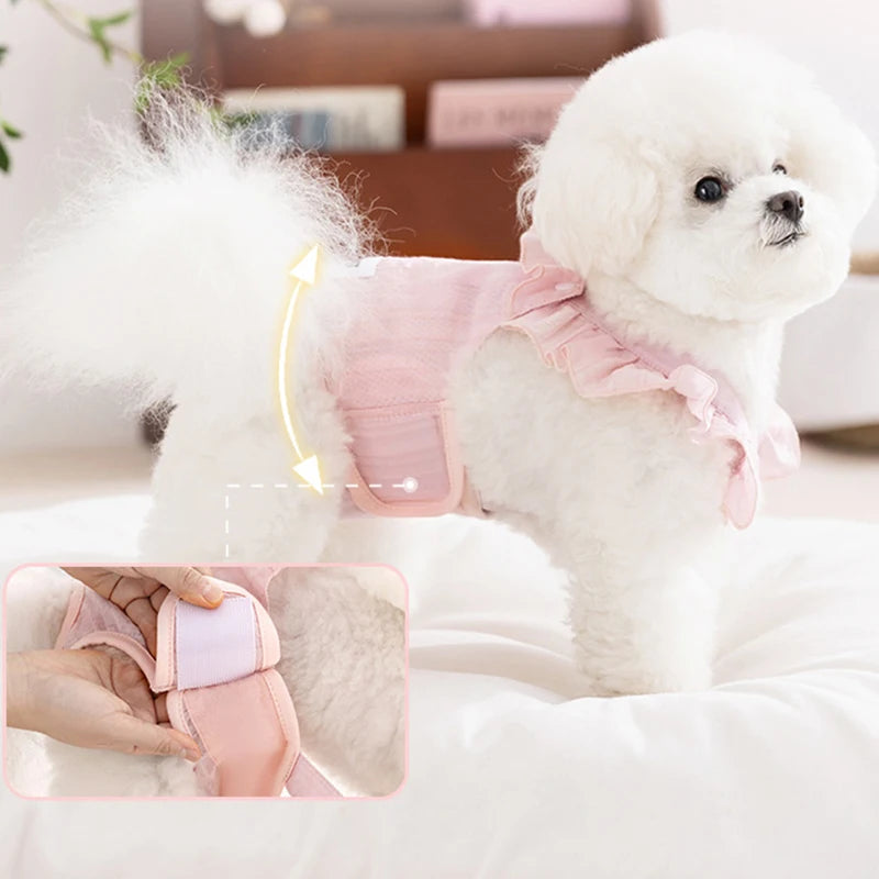 A fluffy white dog is wearing pink dog shorts for females.