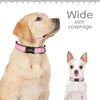 Reflektierendes personalisiertes Hundehalsband mit graviertem Anhänger