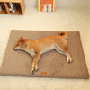 Cozy Winter Pet Bed with Washable Cover