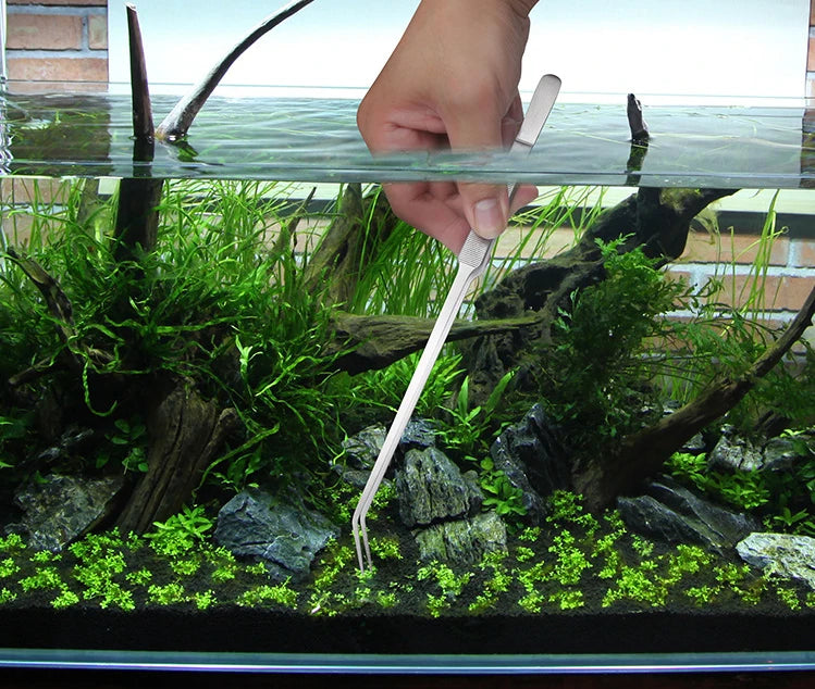 Kit d'outils en acier inoxydable pour l'entretien des plantes d'aquarium