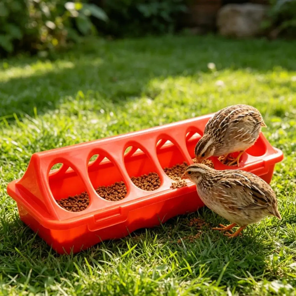 An orange plastic feeder filled with seeds, featuring multiple holes for poultry and small birds on green grass.