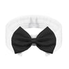 Adjustable Bow Tie Collar for Cats and Small Dogs