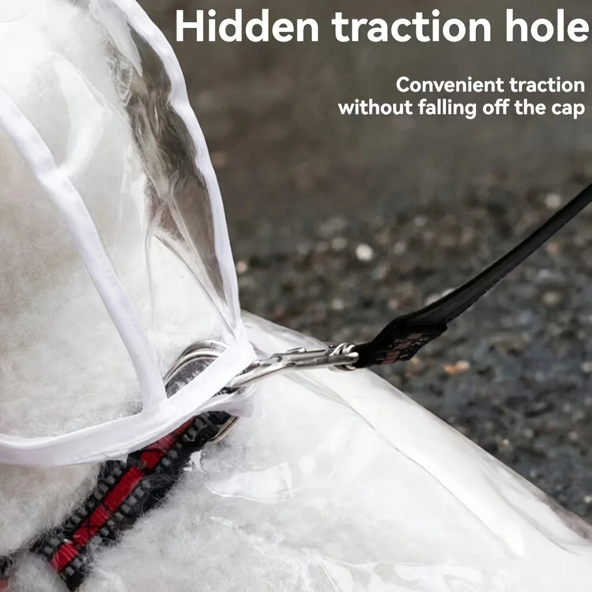 Clear Dog Raincoat with Button-Up Front
