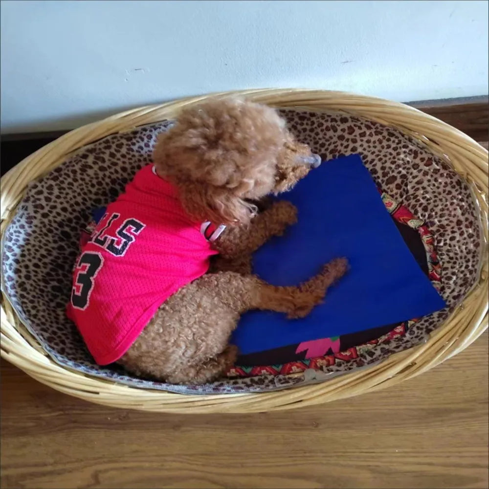 Breathable Mesh Basketball Jersey for Dogs