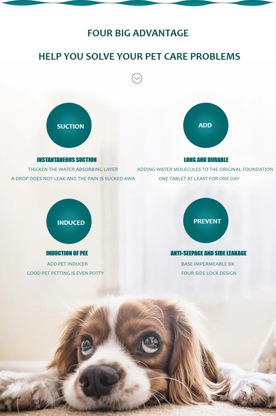 Ein Hund liegt und schaut in die Kamera neben Marketingtext, der vier große Vorteile für Tierpflegeprobleme beschreibt.