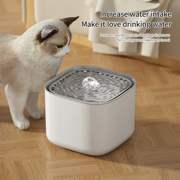 A white cat is looking at a modern, white automatic cat water fountain bowl filled with running water.