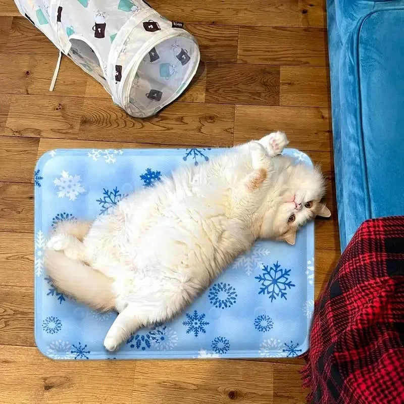 Un chat blanc et duveteux se détend sur un lit pour animaux bleu à côté d'un lit roulé et d'un tissu à carreaux rouges.