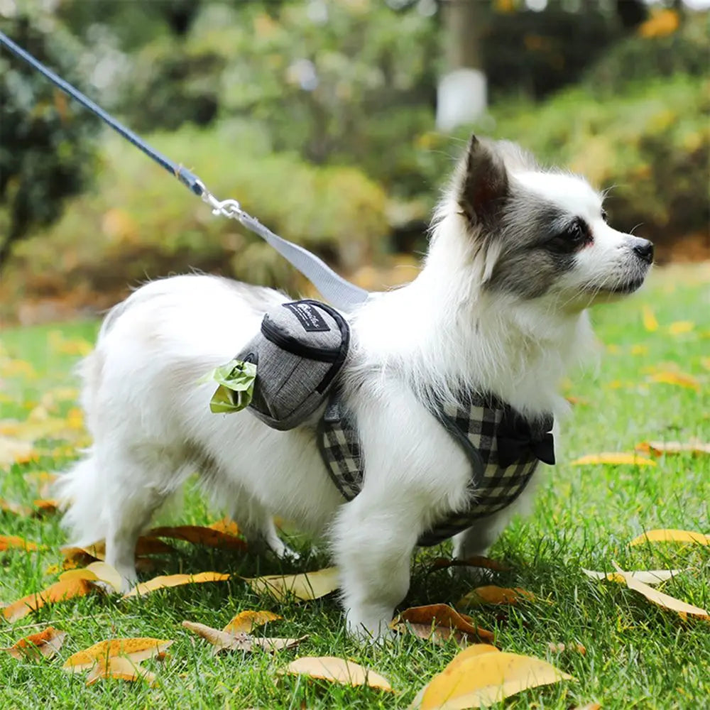 Un chien blanc portant une laisse et une harnais noirs à motifs, se tient dans un cadre extérieur gazonné.