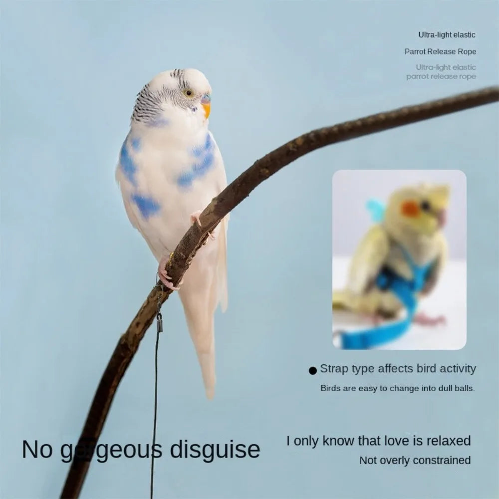 Elastic Parrot Training Leash with Metal Buckle