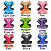 A collection of adjustable pet harnesses and leashes in various colors including light blue, orange, pink, green, purple, red