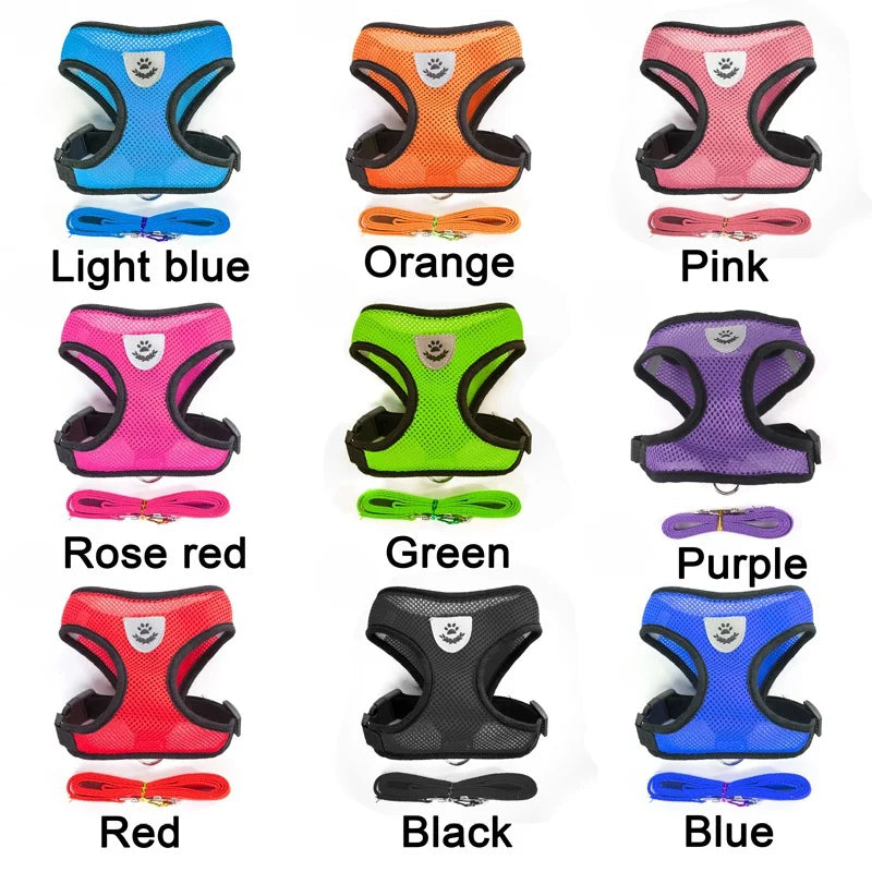 A collection of adjustable pet harnesses and leashes in various colors including light blue, orange, pink, green, purple, red
