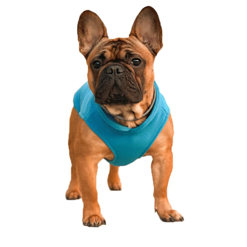 جاكيت كلب من فليس دافئ بحلقة D