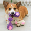 Jouet Squeaky en Caoutchouc Souple pour Chien