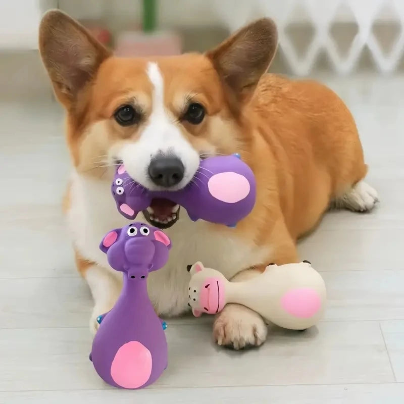 Jouet Squeaky en Caoutchouc Souple pour Chien