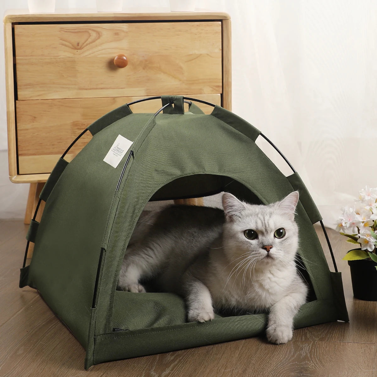 Un chat gris et duveteux se repose dans un lit de tente pour animaux en tissu vert.