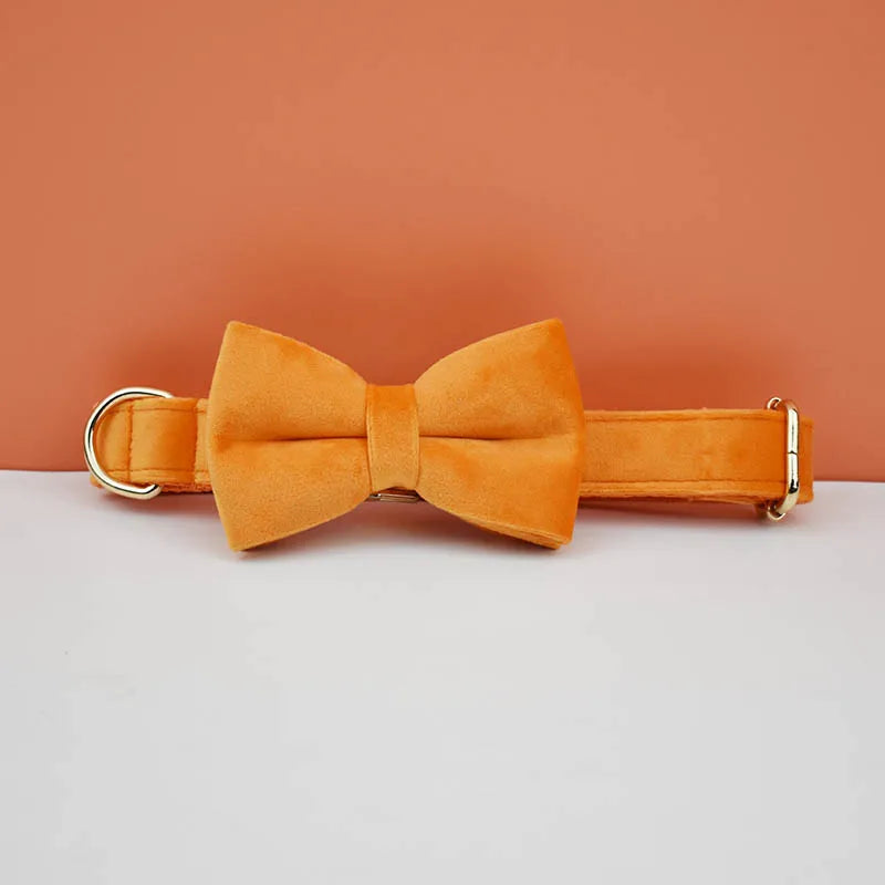 Set de collar, correa y arnés de perro de terciopelo naranja sobre fondo terracota.