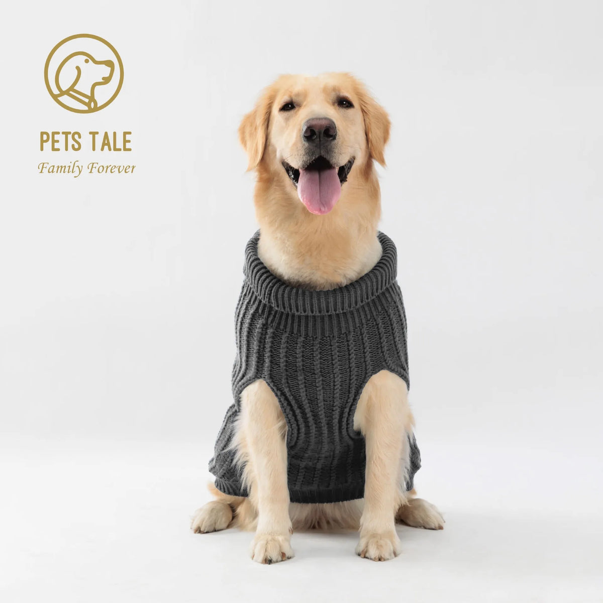 A golden retriever wearing a gray knitted sweater, sitting on a white background.