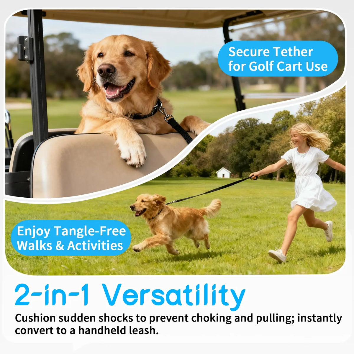 Adjustable Dog Car Seat Belt with Shock-Absorbing Elastic Leash