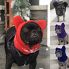 Un pug negro vistiendo un gorro de invierno de lana rojo brillante, de pie al aire libre.