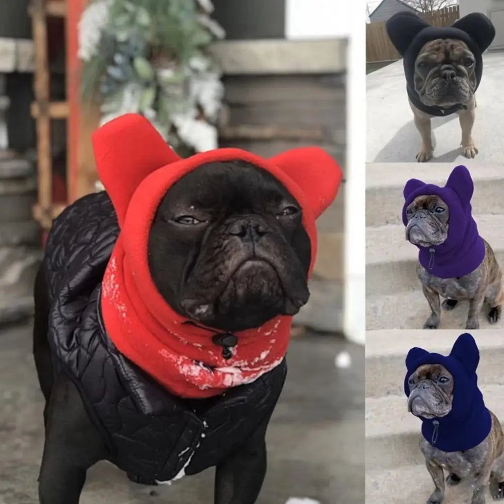 Un pug negro vistiendo un gorro de invierno de lana rojo brillante, de pie al aire libre.
