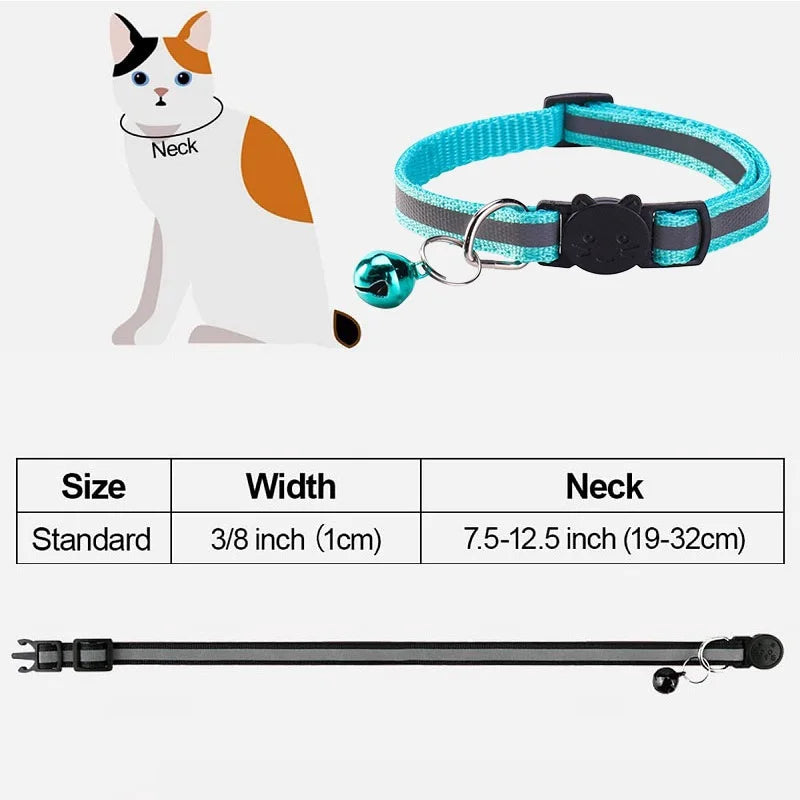 A light blue safety breakaway cat collar with a black buckle and a silver bell attached, shown next to a kitten.