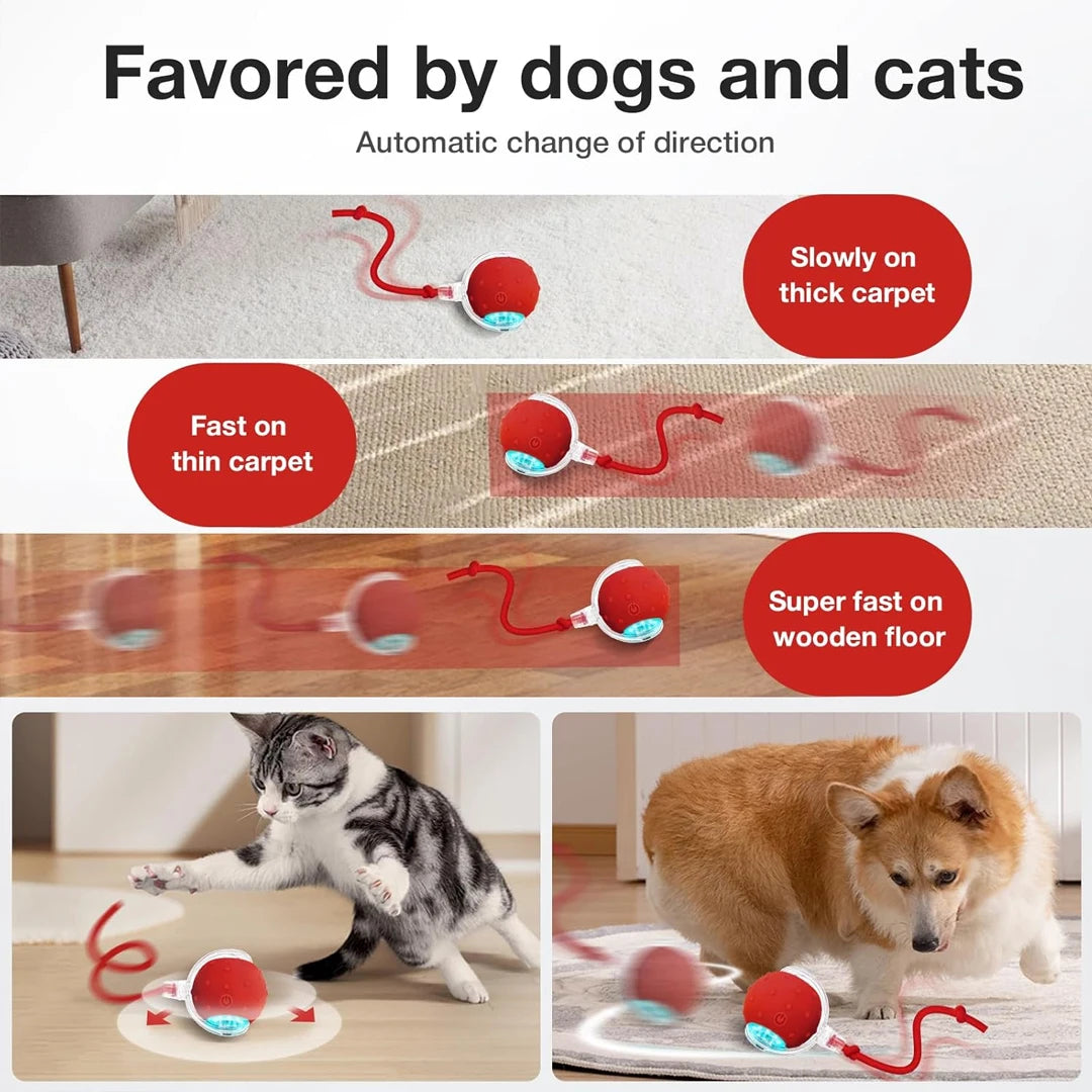 Interactive Chirping Cat Toy Ball with Motion Activation