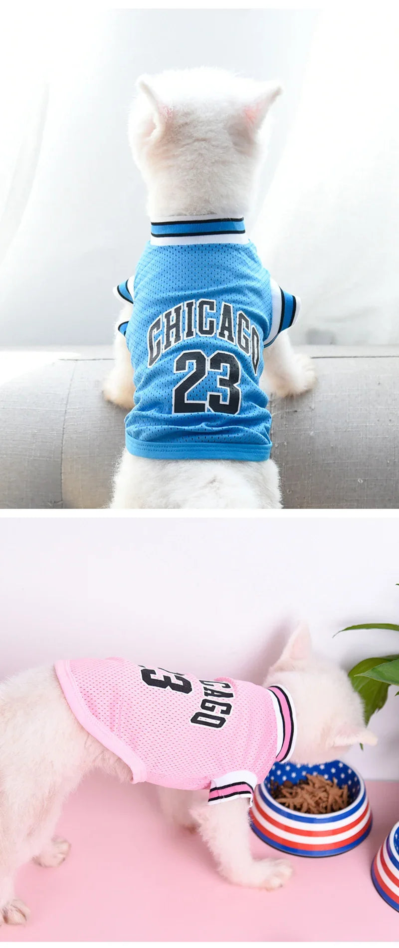 A white dog wearing a blue Chicago basketball vest with the number 23, sitting next to a patriotic bowl.