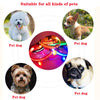 USB Charging Glowing Dog Collar with Pendant