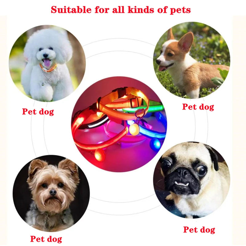 USB Charging Glowing Dog Collar with Pendant