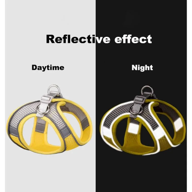Yellow reflective dog harness shown in daytime and night light conditions.