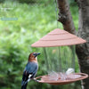 Nourrice à graines pour oiseaux imperméable de couleur terre cuite suspendue d'une branche d'arbre, avec un petit oiseau à pr