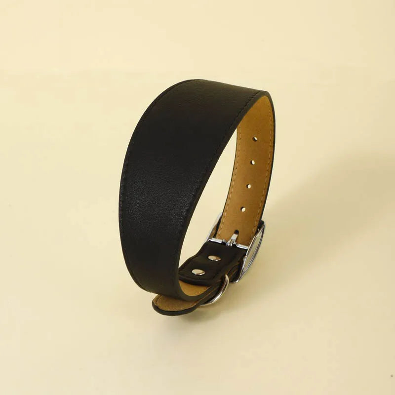 Wide Leather Dog Collar for Long-Necked Breeds
