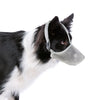 Perro en blanco y negro usando un hocico de malla suave gris claro para protección del cebo.