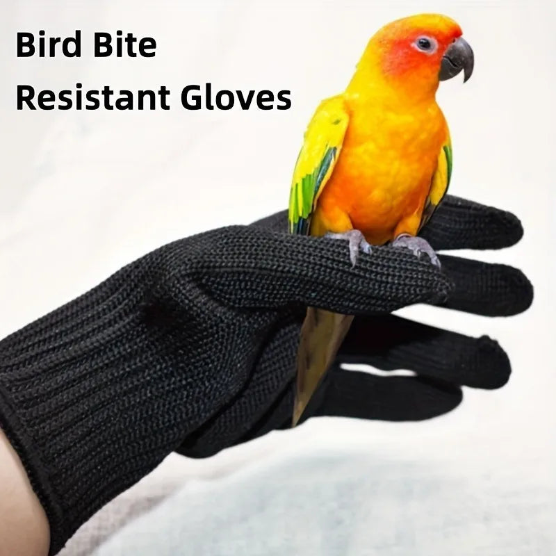 A hand wearing black gloves is holding a small, bright orange and yellow parrot.